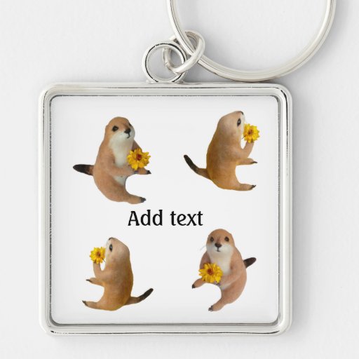 prairie dog's stuffed toy key chains