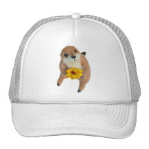 prairie dog's stuffed toy mesh hats