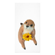 prairie dog's stuffed toy custom photo card