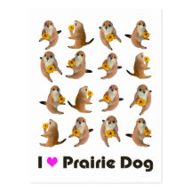 prairie dog's stuffed toy post cards