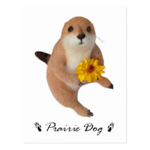 prairie dog's stuffed toy postcard