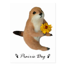 prairie dog's stuffed toy postcard