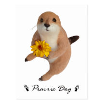 prairie dog's stuffed toy postcards