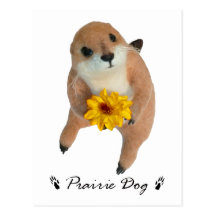 prairie dog's stuffed toy postcards
