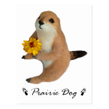 prairie dog's stuffed toy postcards