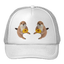 prairie dog's stuffed toy trucker hat