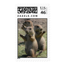 PRAIRIE DOGS THAT LUNCH postage