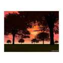 Prairie Evening posters