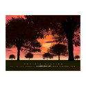 Prairie Evening posters