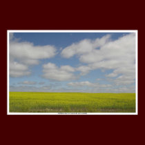 Prairie Fields Print Manitoba Landscape Prints posters