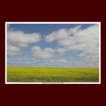 Prairie Fields Print Manitoba Landscape Prints posters