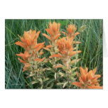 Prairie Fire Greeting Card