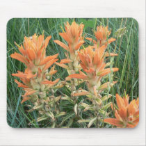 Prairie Fire mousepads