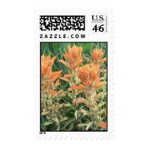 Prairie Fire postage