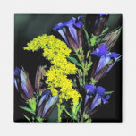 Prairie gentian and Grey goldenrod Refrigerator Magnet