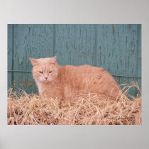 Prairie Ghost 1 Poster