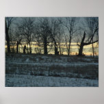 Prairie Gold posters