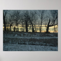 Prairie Gold Print