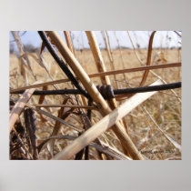 Prairie Grasses 2 Poster
