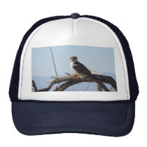 Prairie Hawk Hat hats