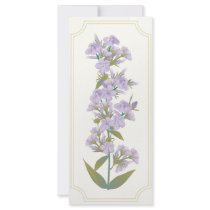 Prairie Phlox Rack Card /Bookmark/Profile Card