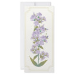 Prairie Phlox Rack Card /Bookmark/Profile Card
