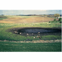 Prairie Pothole in South Dakota photo sculptures