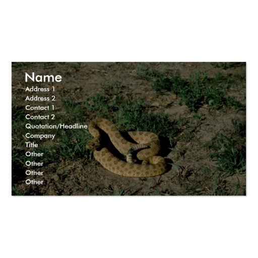 Prairie rattlesnake business cards