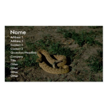 Prairie rattlesnake business cards
