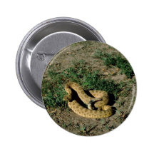Prairie rattlesnake buttons