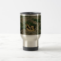 Prairie rattlesnake coffee mugs