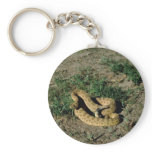 Prairie rattlesnake keychain