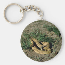 Prairie rattlesnake keychain