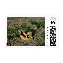 Prairie rattlesnake postage stamps