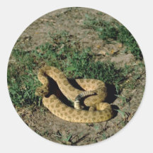 Prairie rattlesnake stickers