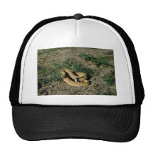 Prairie rattlesnake trucker hat