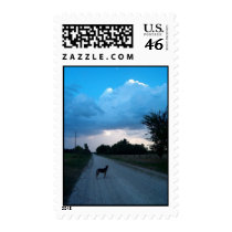 Prairie Road postage