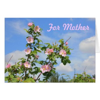 Prairie Roses for Mother's Day Cards