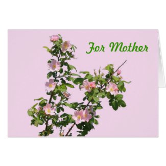 Prairie Roses for Mother's Day Greeting Cards