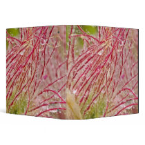 Prairie Smoke in the rain at Theodore Vinyl Binders