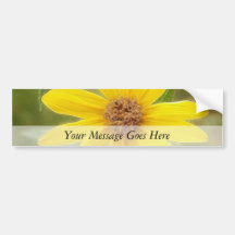 Prairie Sunflower - Helianthus maximilianii Bumper Stickers