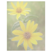 Prairie Sunflower - Helianthus maximilianii Letterhead Design
