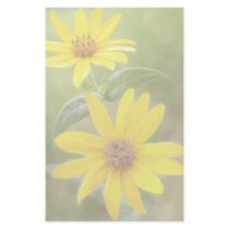 Prairie Sunflower - Helianthus maximilianii Stationery Paper