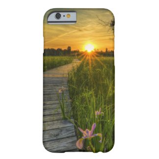 Prairie Sunset iPhone 6 Case