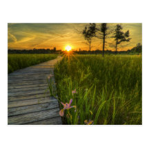 Prairie Sunset Post Card