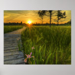 Prairie Sunset Print