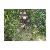 Prairie Views postcards by ceebow Prairie Views postcards