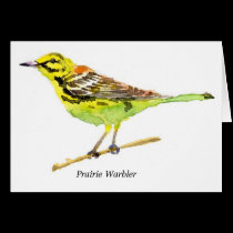 Prairie Warbler cards