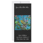 Prairie Warbler Custom Rack Card