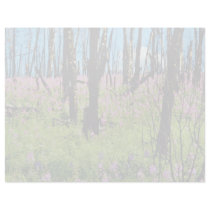 Prairie wildflower, fireweed growing in forest bur personalized letterhead